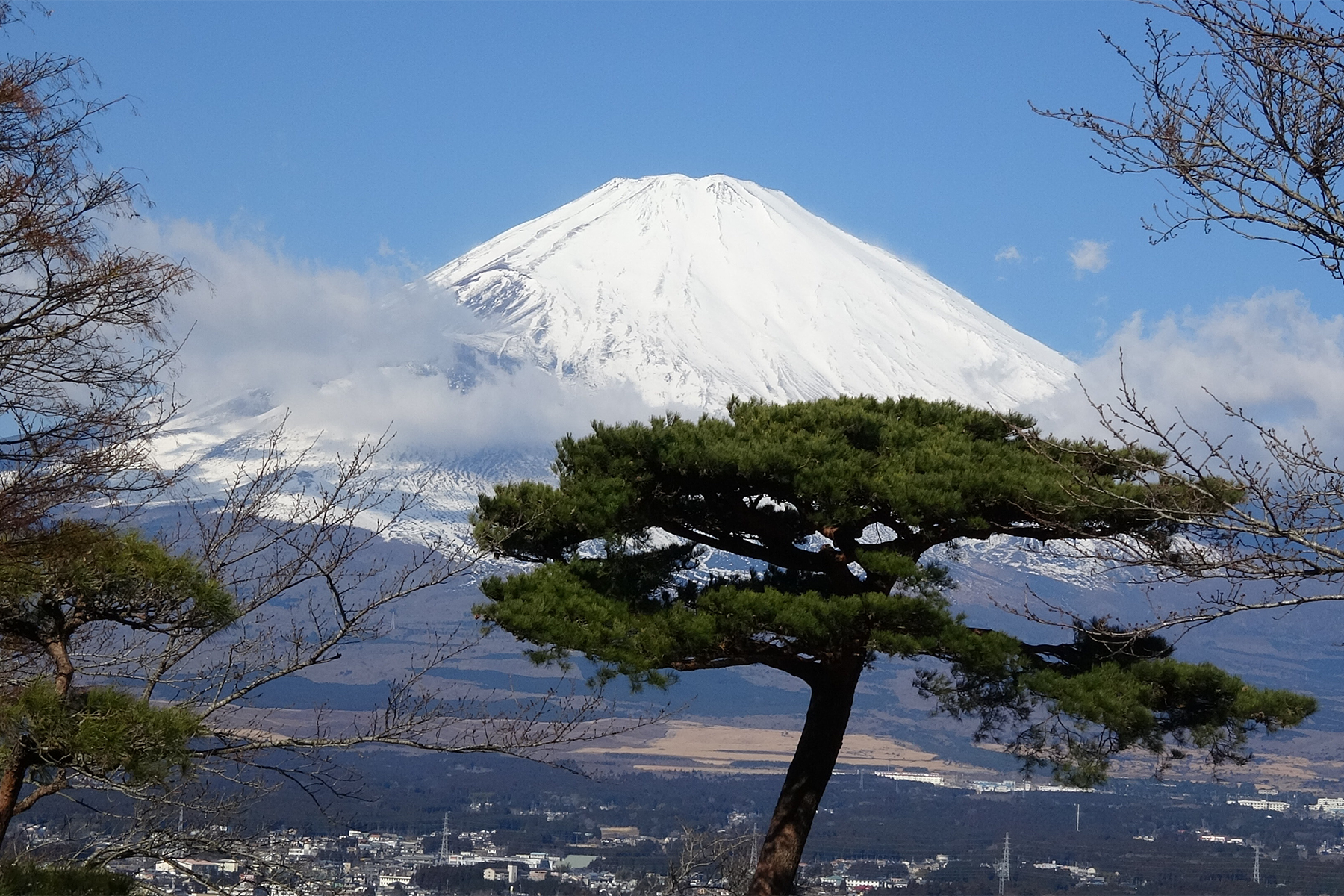 Mount Fuji